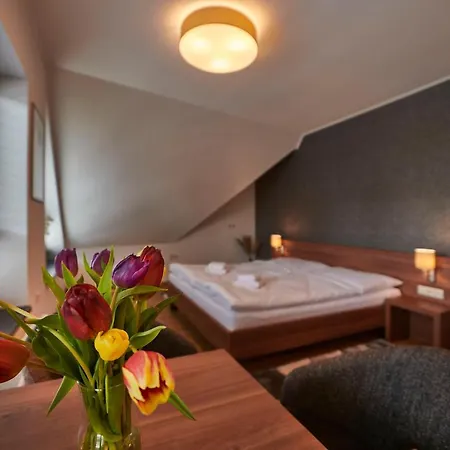 Guest house Penzion Skalica *