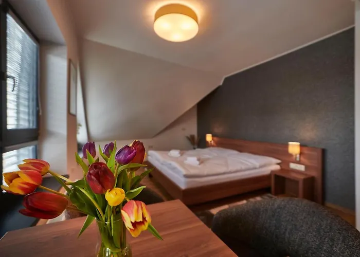 Affittacamere Penzion Skalica 4*